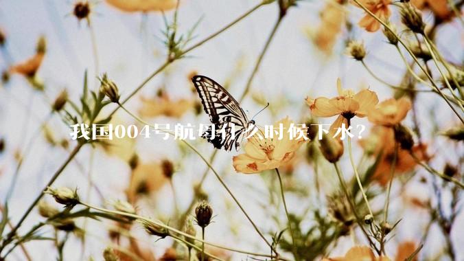 我国004号航母什么时候下水？