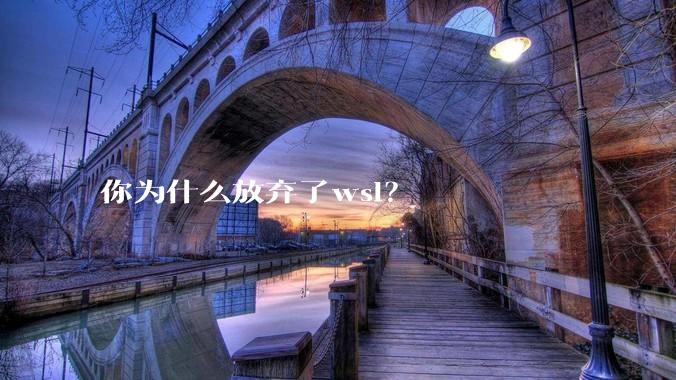 你为什么放弃了wsl？